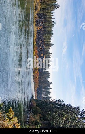 Un astragalo pendenza dà modo di bright caduta delle foglie sulla banca del fiume Deschutes in Oregon. Foto Stock