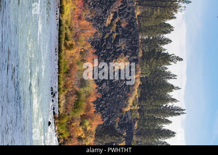 Un astragalo pendenza dà modo di bright caduta delle foglie sulla banca del fiume Deschutes in Oregon. Foto Stock