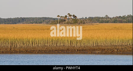 La bassa marea in Carolina del Sud la palude salata Foto Stock