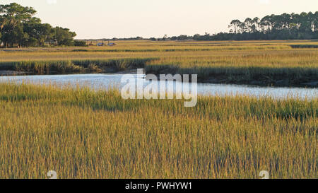 La bassa marea in Carolina del Sud la palude salata Foto Stock