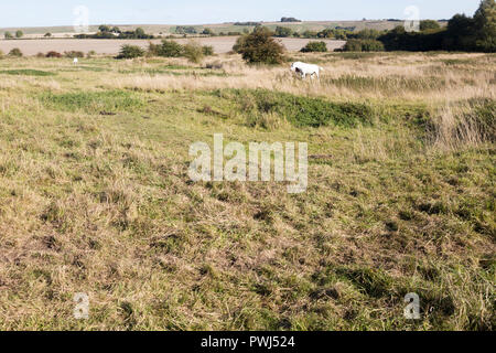 Richardson deserta villaggio medievale, Berwick Bassett, Wiltshire, Inghilterra, Regno Unito Foto Stock