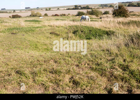 Richardson deserta villaggio medievale, Berwick Bassett, Wiltshire, Inghilterra, Regno Unito Foto Stock