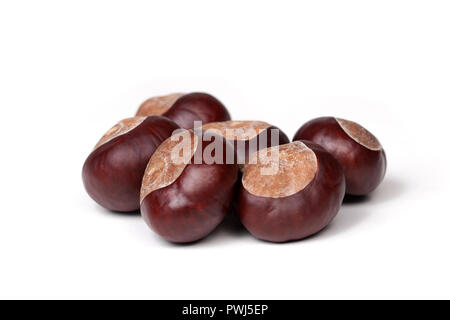 Piccolo mucchio di castagne fresche, conkers isolati su sfondo bianco, primo piano Foto Stock