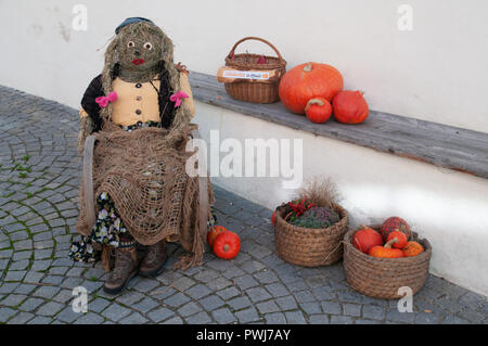 Paglia Witch Halloween e zucche sul display Foto Stock