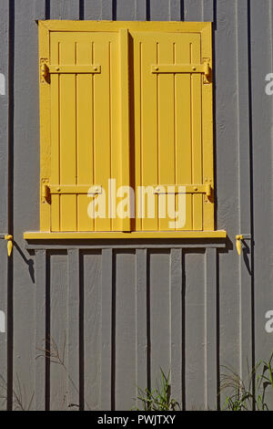 Tradizionale giallo scuri catturata su un oyster fishermans home in Le Canon, a sud ovest della Francia. Foto Stock