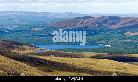 Vista su Sugar Bowl Trail a Loch Morlich & Rothiemurchus foresta, Cairngorms, Scozia Foto Stock