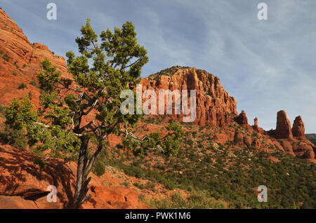 Immagine di panorama che mostra alcune delle drammatiche red formazioni rocciose a Sedona, in Arizona, compresi quelli chiamati Madonna con il Bambino e i due monache. Foto Stock