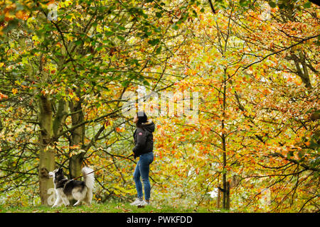 Parco di Battersea, Londra. 17 ott 2018. Regno Unito Meteo: una donna cammina il suo cane tra le colorate Foglie di autunno in Battersea Park di Londra, mercoledì 17 ottobre, 2018. Foto : © Luca MacGregor Credit: Luke MacGregor/Alamy Live News Foto Stock