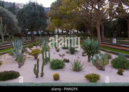 Giardino botanico di cactus, agavi e succulente. Israeliano Foto Stock