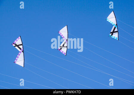 Grande colorato aquilone vola in alto nel cielo . Bella aquiloni in un kite festival Foto Stock