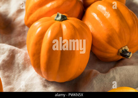 Materie organiche Golden Acorn Squash pronto per cucinare Foto Stock