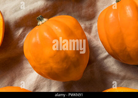 Materie organiche Golden Acorn Squash pronto per cucinare Foto Stock