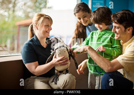 Famiglia godendo di giorno in acquario. Foto Stock