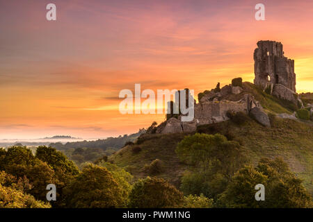 Alla prima luce del basso che giace la nebbia si disperde come il sole sorge sopra le rovine storiche di Corfe Castle, nella contea di Dorset, Inghilterra. Foto Stock