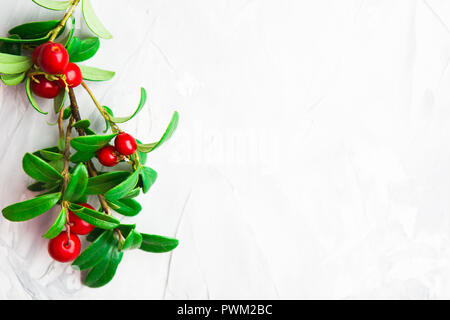 Mirtillo rosso sul ramo su sfondo grigio con copia spazio, piatto stile laici Foto Stock