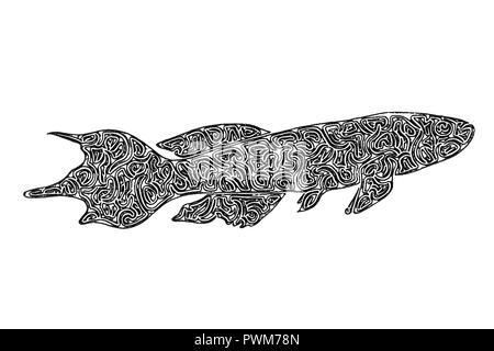 Un Bianco E Nero Il Disegno Di Un Pesce Foto Immagine