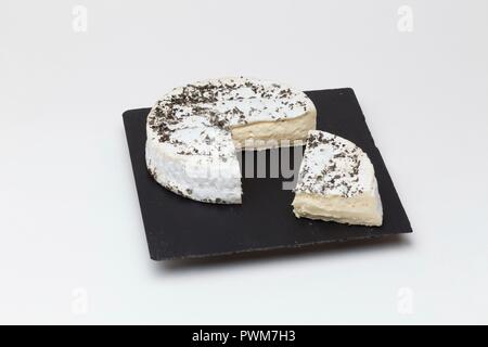 Saint-Foin (formaggio da Yvelines, Francia) Foto Stock