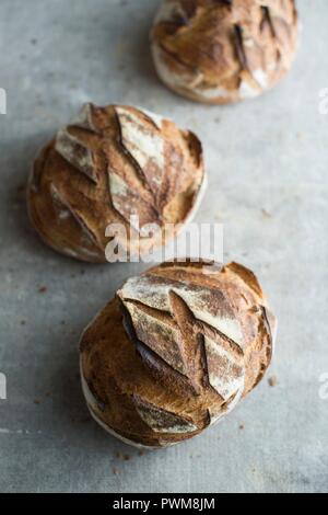 Boule au Levain (round pani di pasta acida, Francia) Foto Stock