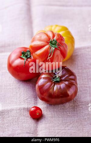 Cinque diversi tipi di pomodori in un panno di lino Foto Stock