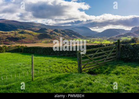 Dale fondo valle con elevata e Rigg Matterdale comune al di là in inglese il Parco Nazionale del Distretto dei Laghi, Cumbria, Inghilterra. Foto Stock