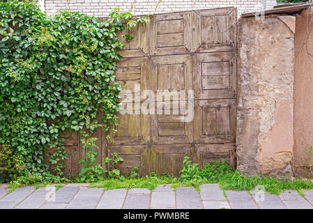 Weathered tavolato in legno Porte contemplati nel superriduttore Foto Stock