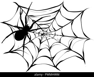 Il ragno nero e Strappato web. Scary spiderweb del simbolo di Halloween. Isolato su bianco illustrazione Foto Stock