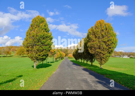 Bellissimi colori autunnali nel Bellahouston Park che è un parco pubblico sul lato sud di Glasgow, Scozia, tra le zone di Craigton, Dumbreck Foto Stock