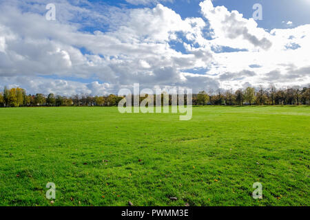 Bellissimi colori autunnali nel Bellahouston Park che è un parco pubblico sul lato sud di Glasgow, Scozia, tra le zone di Craigton, Dumbreck Foto Stock