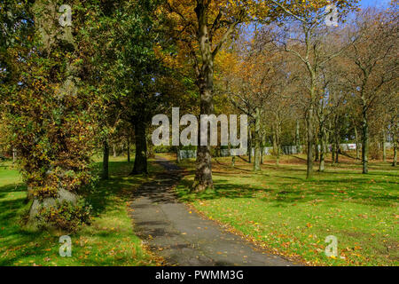 Bellissimi colori autunnali nel Bellahouston Park che è un parco pubblico sul lato sud di Glasgow, Scozia, tra le zone di Craigton, Dumbreck Foto Stock