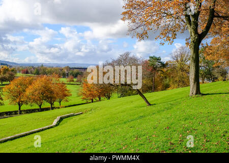 Bellissimi colori autunnali nel Bellahouston Park che è un parco pubblico sul lato sud di Glasgow, Scozia, tra le zone di Craigton, Dumbreck Foto Stock