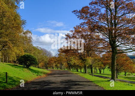 Bellissimi colori autunnali nel Bellahouston Park che è un parco pubblico sul lato sud di Glasgow, Scozia, tra le zone di Craigton, Dumbreck Foto Stock