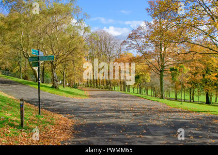 Bellissimi colori autunnali nel Bellahouston Park che è un parco pubblico sul lato sud di Glasgow, Scozia, tra le zone di Craigton, Dumbreck Foto Stock