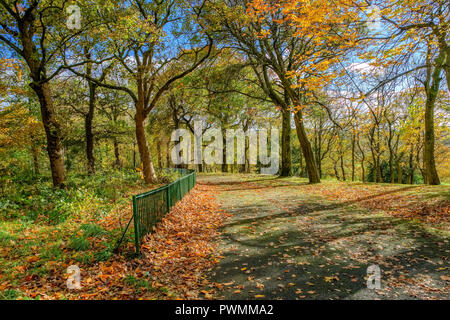 Bellissimi colori autunnali nel Bellahouston Park che è un parco pubblico sul lato sud di Glasgow, Scozia, tra le zone di Craigton, Dumbreck Foto Stock