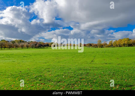 Bellissimi colori autunnali nel Bellahouston Park che è un parco pubblico sul lato sud di Glasgow, Scozia, tra le zone di Craigton, Dumbreck Foto Stock