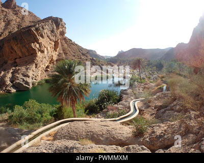 OMAN, Wadi Bani khalid, acqua di un canale chiamato Falaj in un boschetto di palme Foto Stock