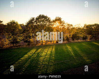 Drone vista sui raggi del sole cadere attraverso gli alberi Foto Stock