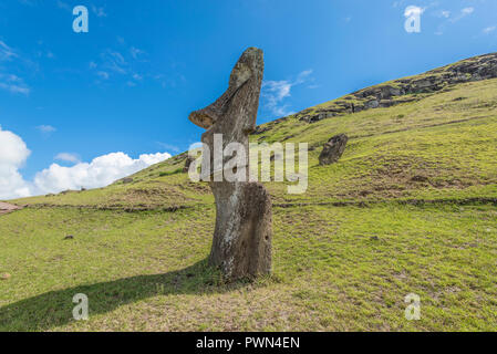 Vista di un moai in profilo sulla collina del Rano Raraku vulcano Foto Stock