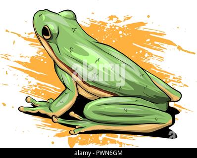 Illustrazione di un cartone animato rana verde disegno vettoriale Illustrazione Vettoriale