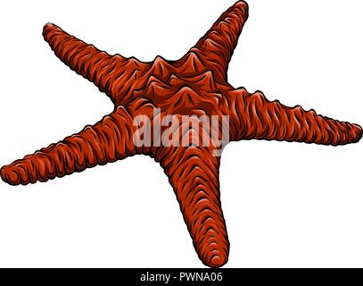 Starfish in stile appartamento. Icona di Marine in stile cartoon. Estate illustrazione vettoriale. Illustrazione Vettoriale