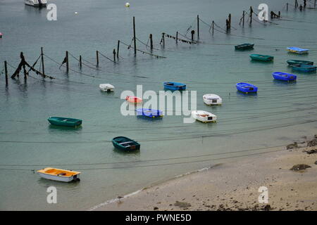 Legato su piccole barche colorate da pali di legno flottante sull'oceano a bassa marea in Bretagna, Francia Foto Stock