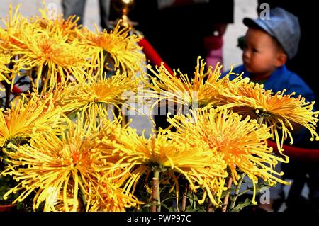 Kaifeng, la Cina della Provincia di Henan. Xvii oct, 2018. Un bambino gode di crisantemi a Longting Park di Kaifeng, centrale cinese della Provincia di Henan, il 17 ottobre, 2018. Credito: Li Un/Xinhua/Alamy Live News Foto Stock