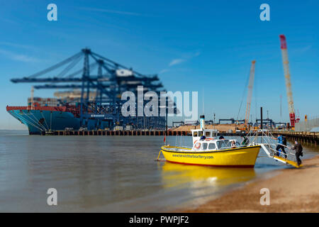 Porto di Harwich piede ferry, porto di Felixstowe, Suffolk, Regno Unito. Foto Stock