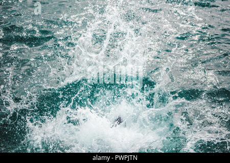 Splash come persona salti in acque turchesi del Mar dei Caraibi Foto Stock