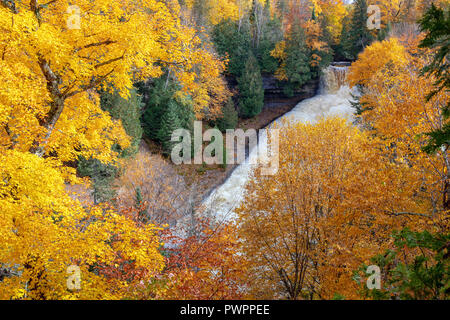 Ridendo coregoni cade è circondato da blazing fogliame di autunno, vicino Munising Michigan Foto Stock