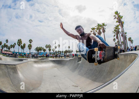 Guidatore di skateboard battenti a Venezia Skatepark Venice Beach California Foto Stock