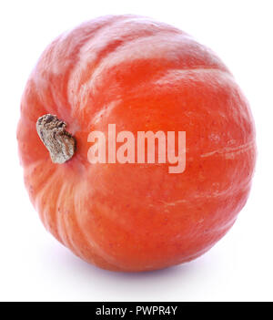 Zucca di Halloween su sfondo bianco Foto Stock