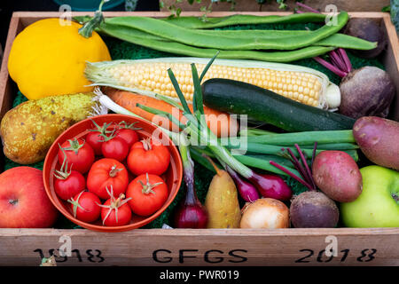 Mostra colorata di frutta e verdura autunnale in uno spettacolo autunnale. REGNO UNITO Foto Stock