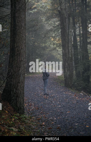 Stato Minnewaska Park, New York. Foto Stock