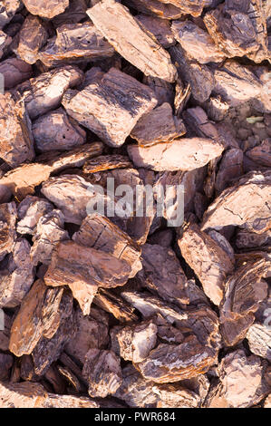 Trucioli di legno di telone sul terreno texture. Sfondo. Foto Stock