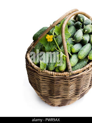 Grande cesto pieno di cetrioli freschi isolato su bianco Foto Stock